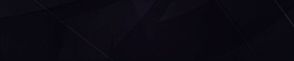 Banner 1
