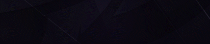Banner 2